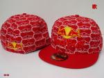 Red Bull Cap & Hats Wholesale RBCHW14