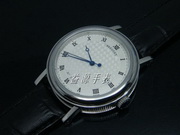 Breguet Hot Watches BHW054