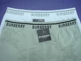 Burberry Man Underwears 39