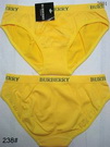 Burberry Women Underwears 15