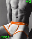 Calvin Klein Man Underwears 288