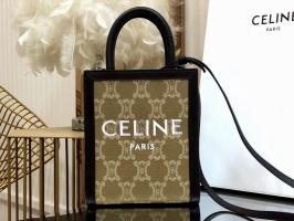 Celine Replica handbags CRHB075