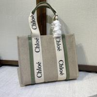New Chloe handbags NCHB019