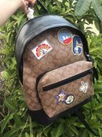 AAA Hot l Coach handbags HOTCHB015