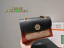 AAA Hot l Coach handbags HOTCHB027