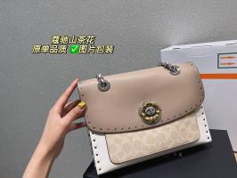 AAA Hot l Coach handbags HOTCHB028