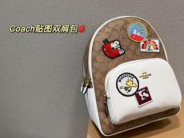 AAA Hot l Coach handbags HOTCHB039