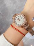 Dior Watches DW014