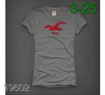Hollister Woman Shirts HWS-TShirt-043