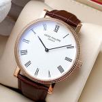 Patek Philippe Hot Watches PPHW120