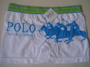 Polo Man Underwears 15